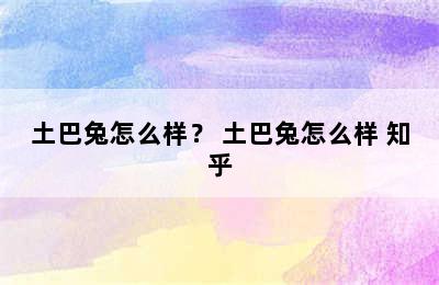 土巴兔怎么样？ 土巴兔怎么样 知乎